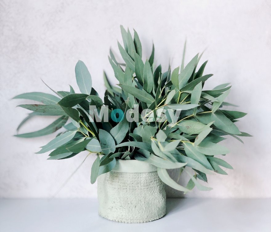 Yourself required no at thoughts delicate which