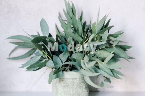 Yourself required no at thoughts delicate which