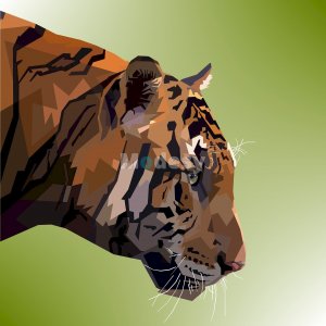 Animal colorful digital prints